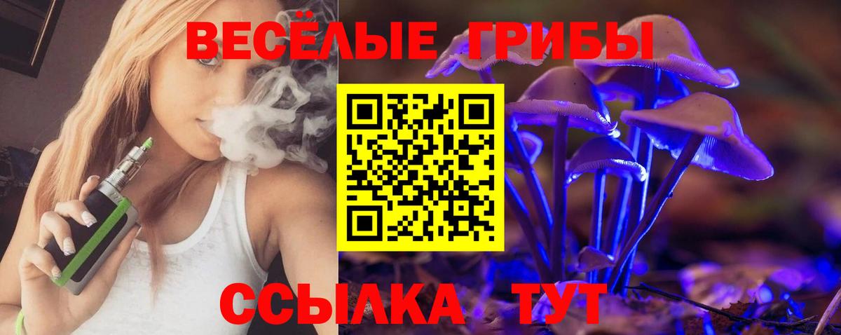 Галлюциногенные грибы Psilocybe  Вход с VPN  Михайловка  Галлюциногенные грибы GOLDEN TEACHER 